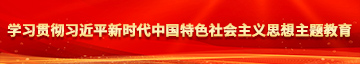 吊逼逼逼学习贯彻习近平新时代中国特色社会主义思想主题教育